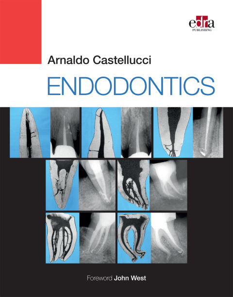 ENDODONTICS 2 Volume Set 