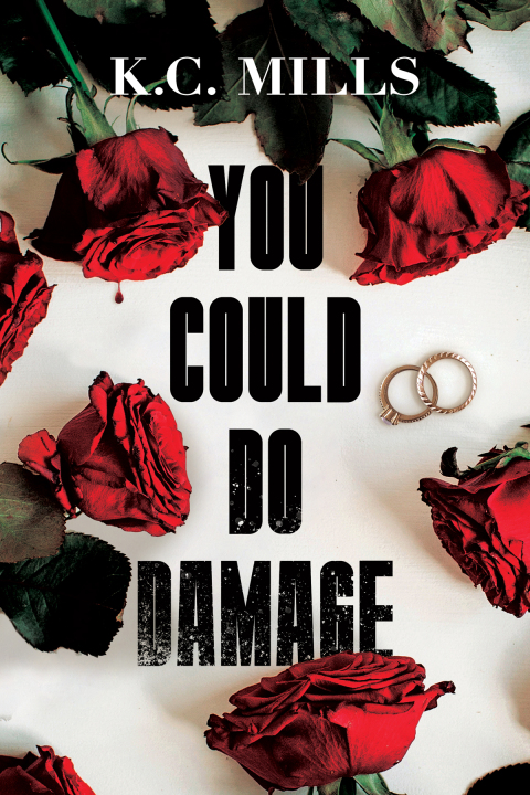 Cover image for book You Could Do Damage