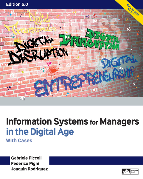 Cover image for book Information Systems for Managers in the Digital Age: With Cases