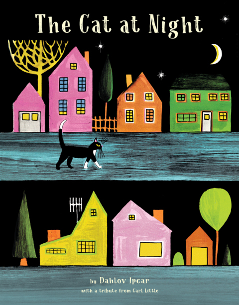 Cover image for book The Cat at Night