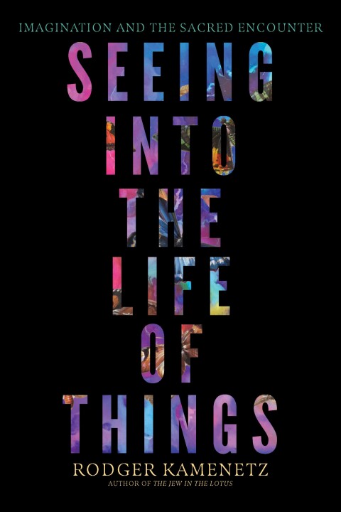 Cover image for book Seeing into the Life of Things