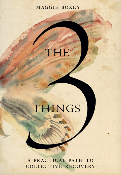 Cover image for book The 3 Things
