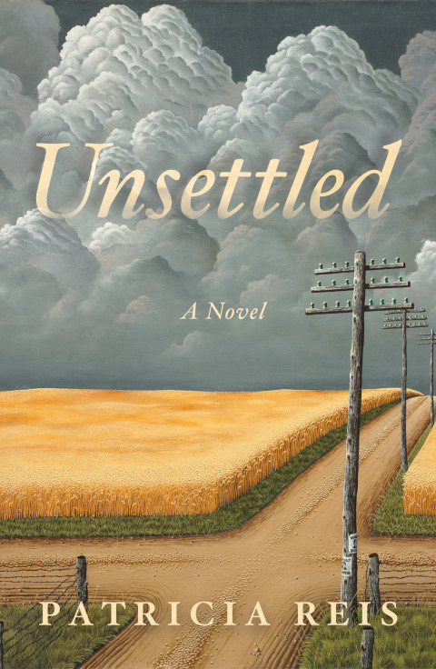 Cover image for book Unsettled