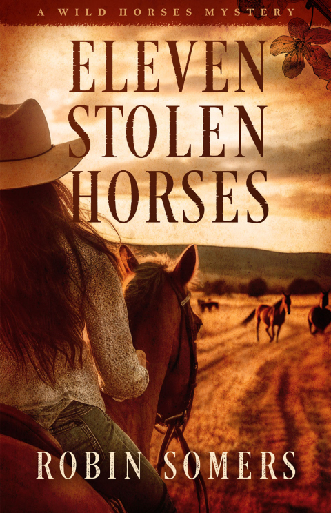 Cover image for book Eleven Stolen Horses