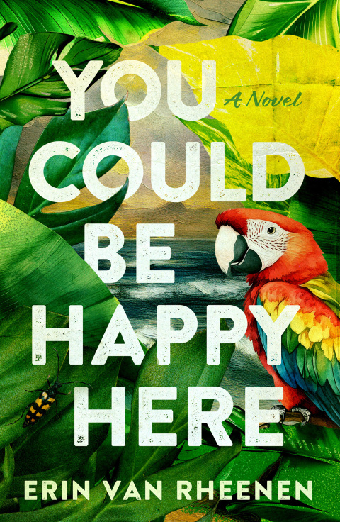 Cover image for book You Could Be Happy Here
