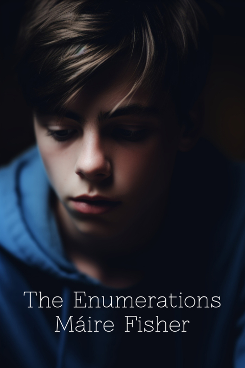 Cover image for book The Enumerations