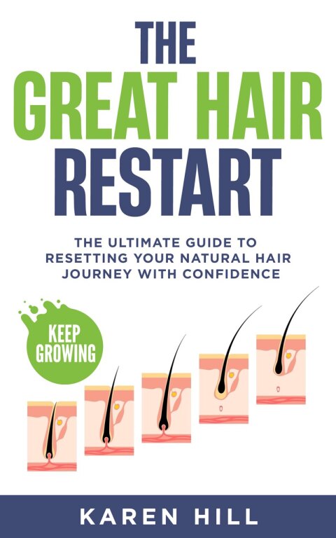 Cover image for book The Great Hair Restart