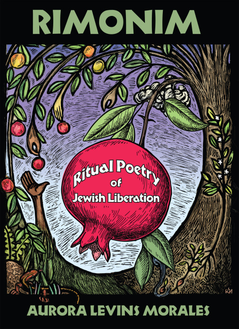 Cover image for book Rimonim
