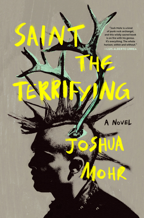 Cover image for book Saint the Terrifying