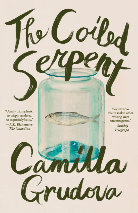 Cover image for book The Coiled Serpent