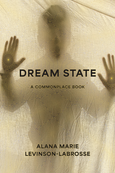 Cover image for book Dream State