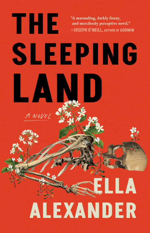Cover image for book The Sleeping Land