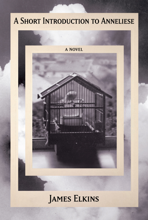 Cover image for book A Short Introduction to Anneliese