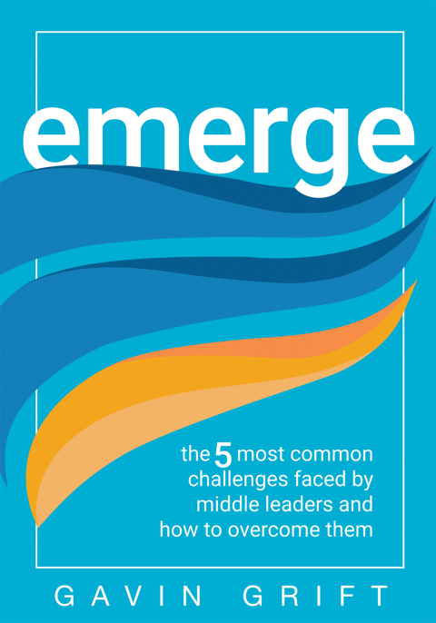 Cover image for book Emerge