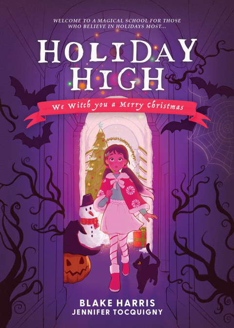Cover image for book Holiday High