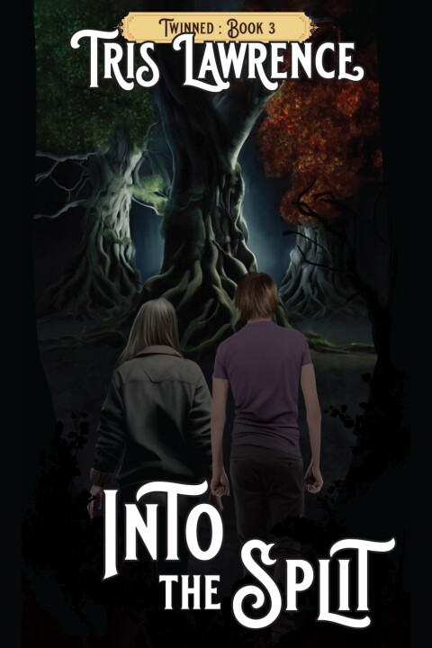Cover image for book Into the Split