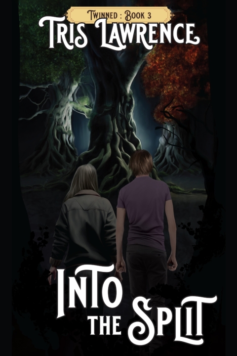 Cover image for book Into the Split