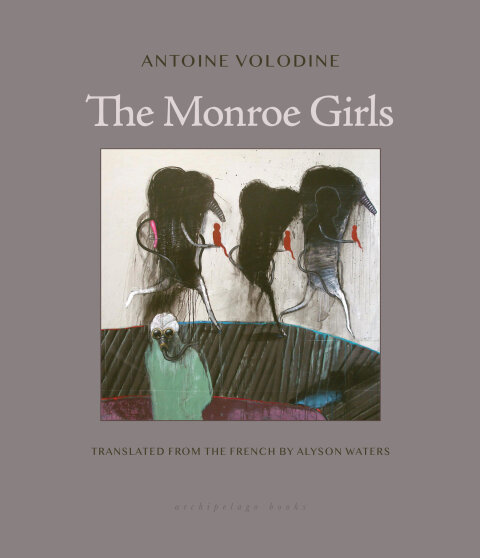 Cover image for book The Monroe Girls