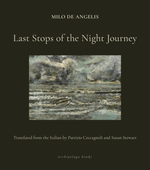 Cover image for book Last Stops of the Night Journey