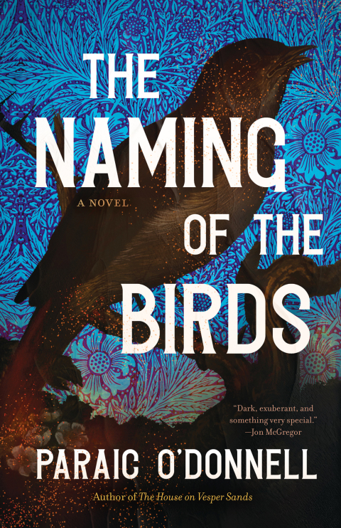 Cover image for book The Naming of the Birds