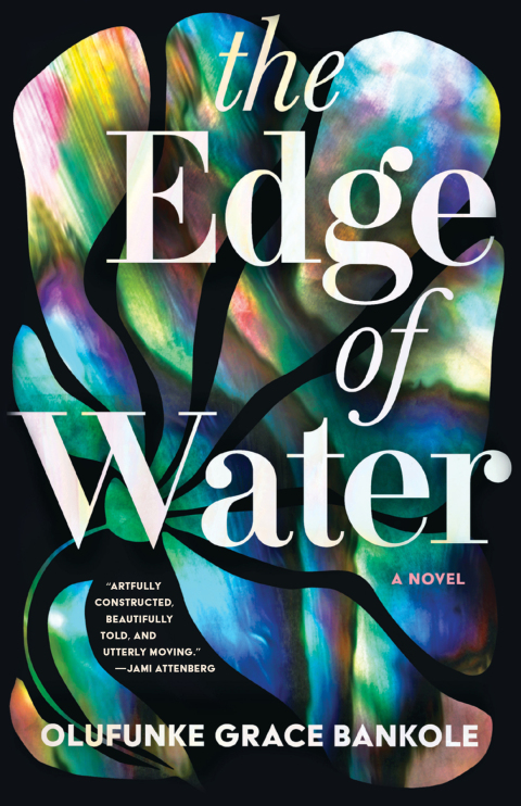 Cover image for book The Edge of Water