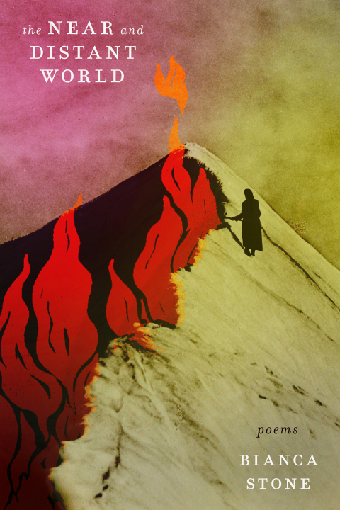 Cover image for book The Near and Distant World