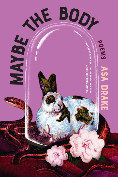 Cover image for book Maybe the Body