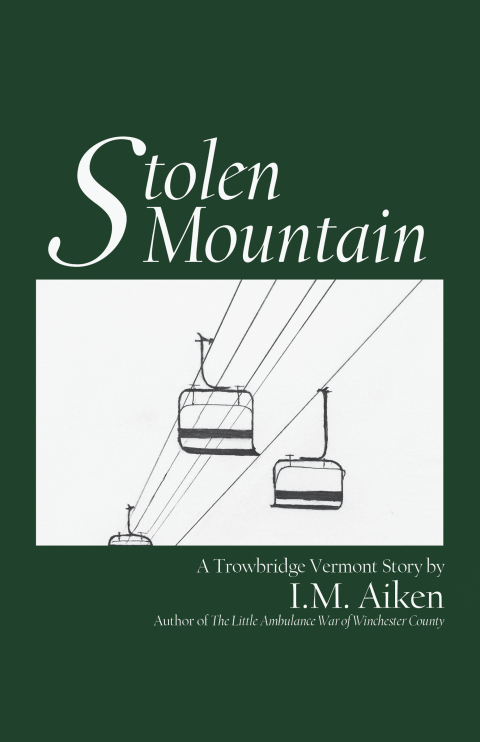 Cover image for book Stolen Mountain