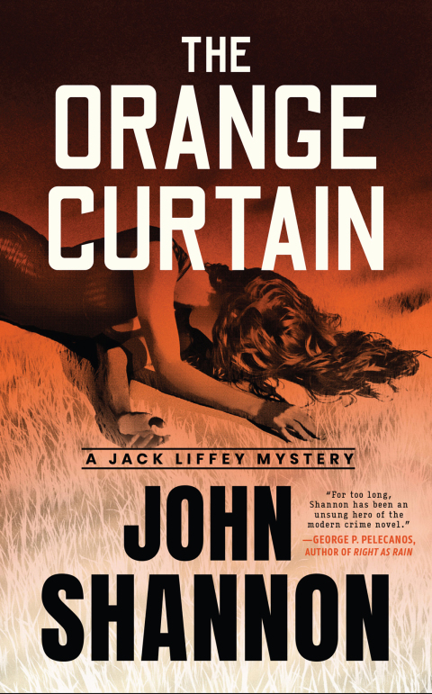 Cover image for book The Orange Curtain