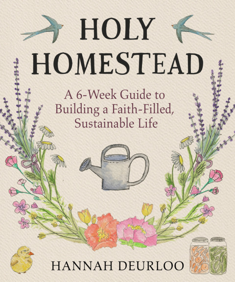 Cover image for book Holy Homestead