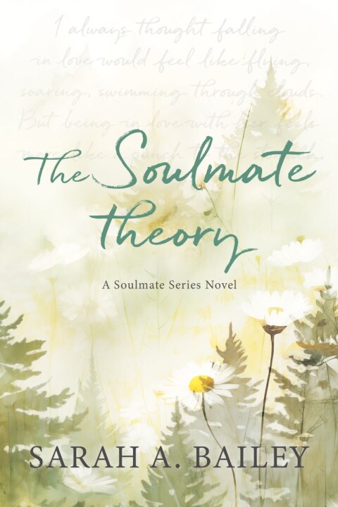 Cover image for book The Soulmate Theory