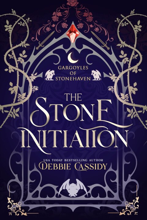 Cover image for book The Stone Initiation