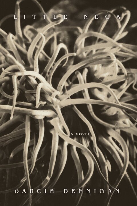 Cover image for book Little Neck