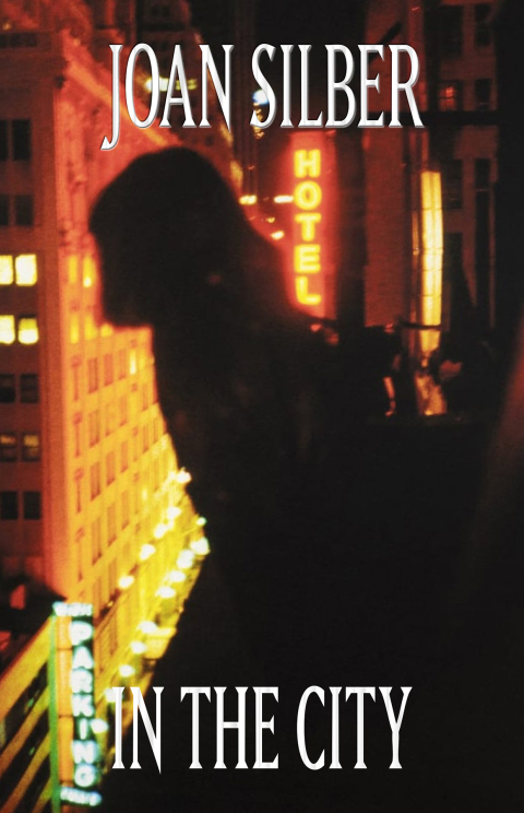 Cover image for book In the City