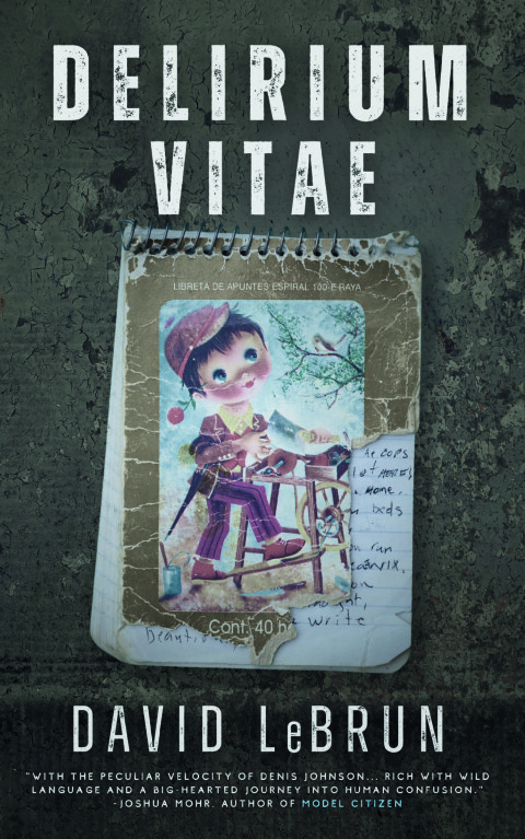 Cover image for book Delirium Vitae
