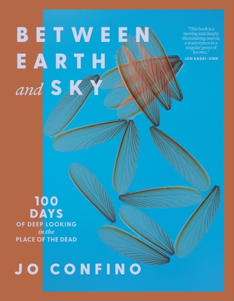 Cover image for book Between Earth and Sky