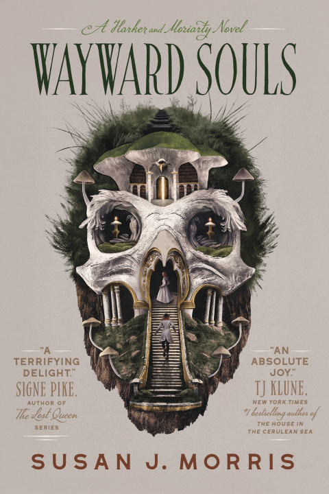 Cover image for book Wayward Souls