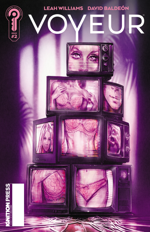 Cover image for book Voyeur #2