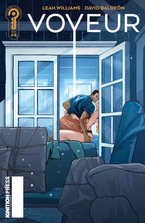 Cover image for book Voyeur #4 (eBook)