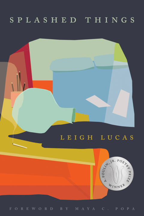 Cover image for book Splashed Things