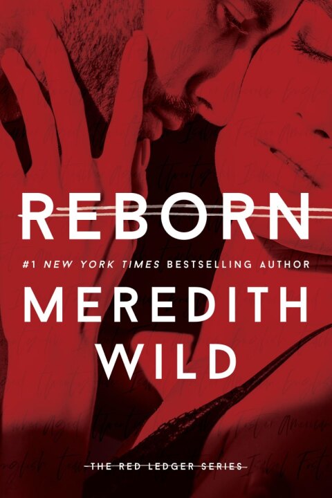Cover image for book Reborn