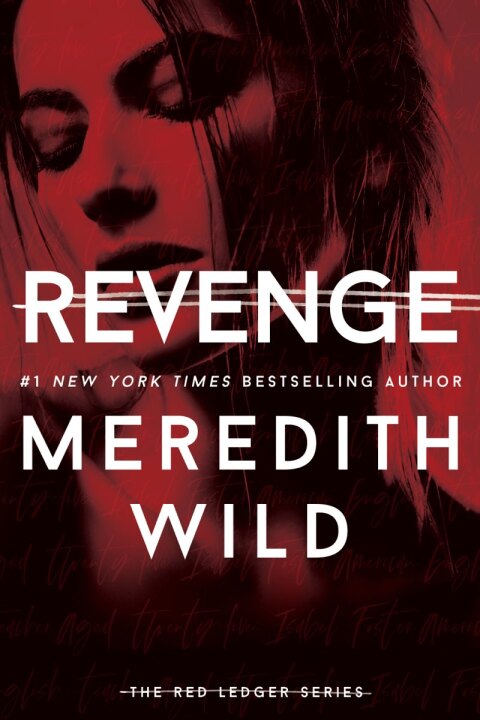 Cover image for book Revenge