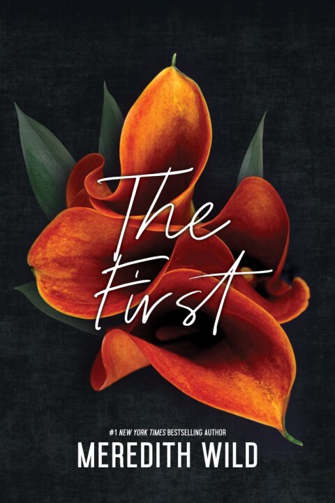 Cover image for book The First