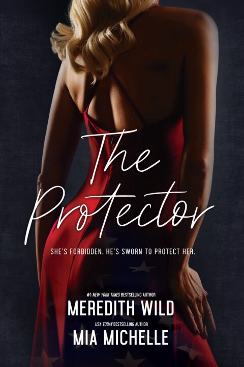 Cover image for book The Protector