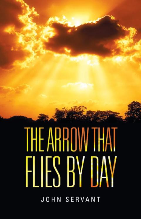 Cover image for book The Arrow That Flies by Day