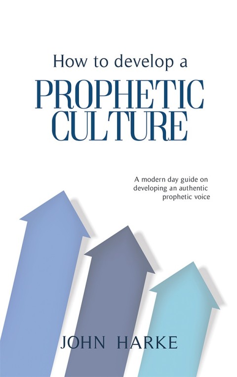 Cover image for book How to Develop a Prophetic Culture