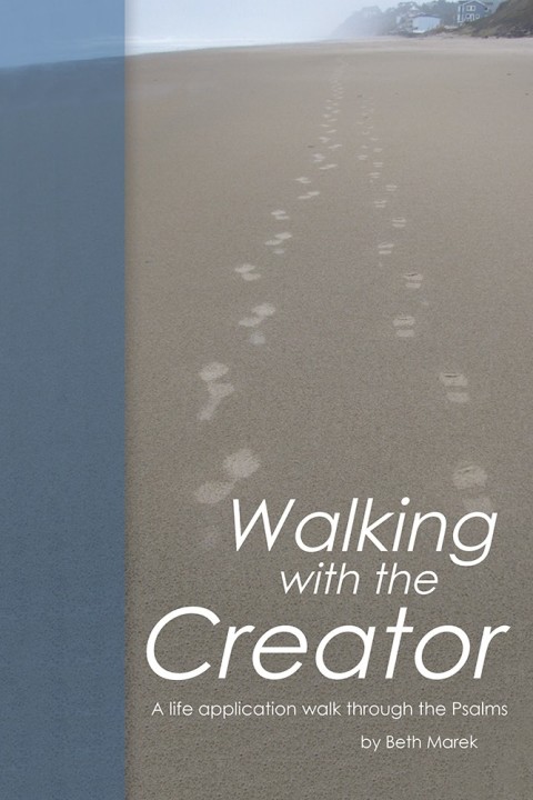Cover image for book Walking with the Creator