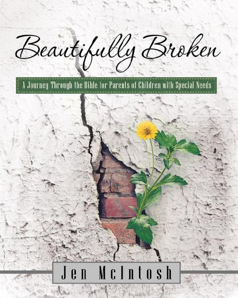 Cover image for book Beautifully Broken