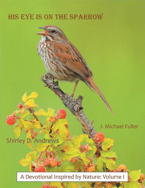 Cover image for book His Eye Is on the Sparrow