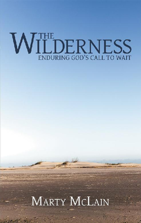 Cover image for book The Wilderness